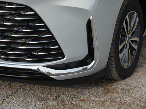 2025�� ½�Ϲ���� ����DG��