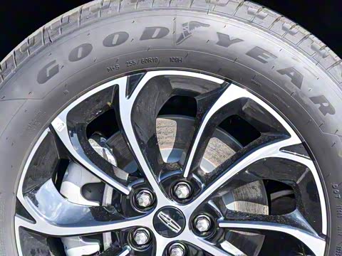 2025�� �Ŀ� 2.0T ����������