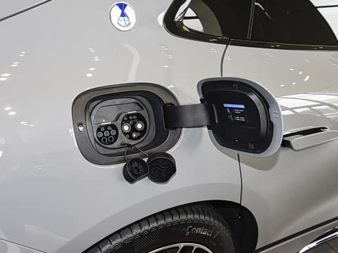 2026�� ����������