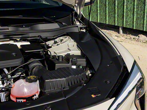 2025�� ������