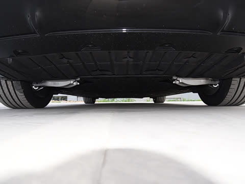 2026�� Max+