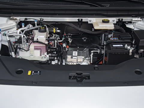 2026�� 520�Ǻ���