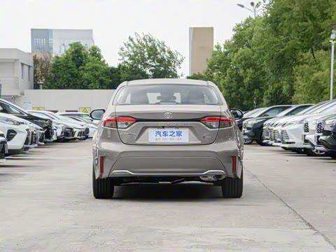 2024�� ���ܵ��˫�� 2.0L ������