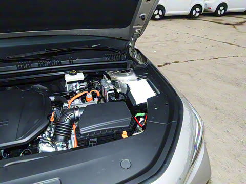 2026�� 60km̽����