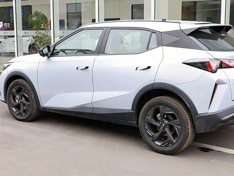 2026�� Ӱ�� 270T ������