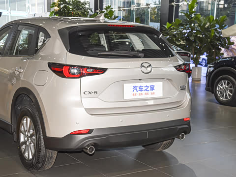 2025�� 2.0L �Զ�����������