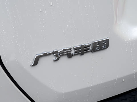 2026�� 2.5L ���ܵ��˫�� ����MAX