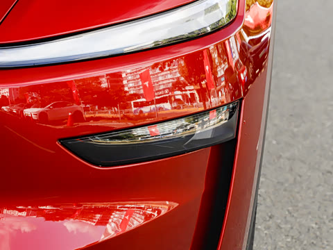 2026�� ����������������