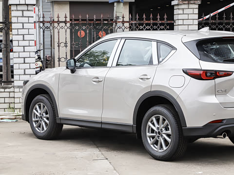 2025�� 2.0L �Զ���������Pro