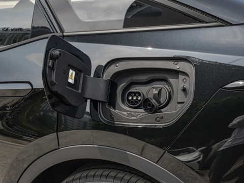 2026�� ������ JOY