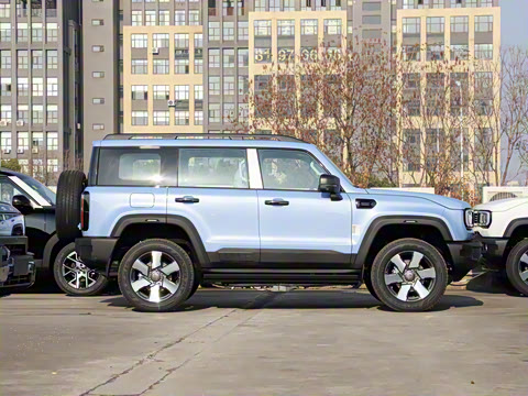 2025�� Ԫ�����а�