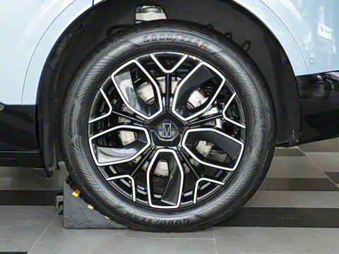 2026�� Elite �����