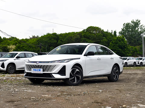 2026�� 1.5L �������� ������