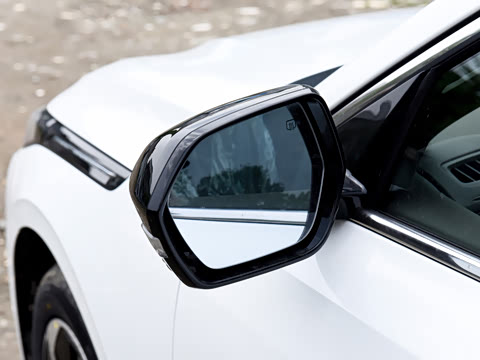 2026�� 1.5L �������� ������