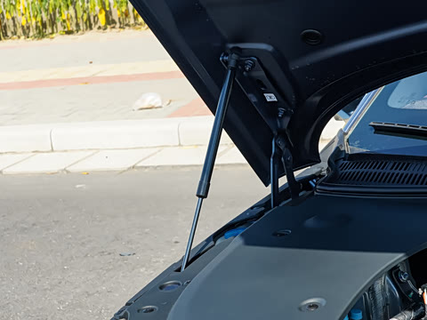 2026�� DM-i 1.5T 230km ������