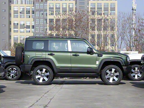 2025�� Ԫ�����а�