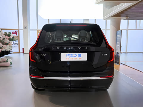 2026�� T8 ��������� 7��