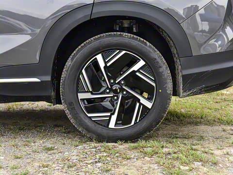 2025�� 130km �콢��