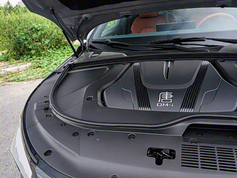 2025�� �Ǽݰ� DM-i 175KM ������