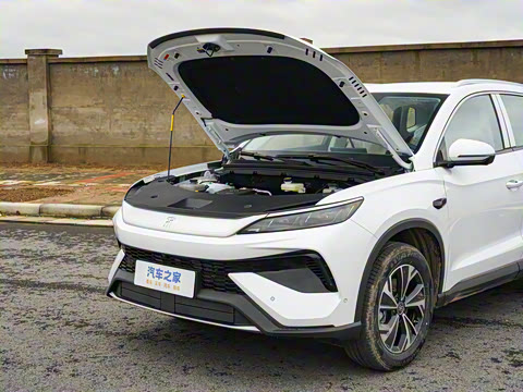 2026�� DM-i 133KM��Խ��