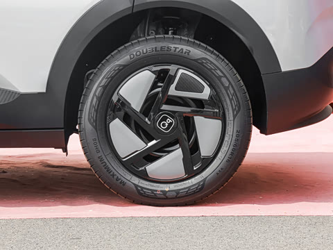 2026�� 310�Ȱ���