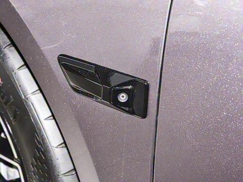 2026��   95������ Max��