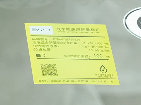 2026�� DM-i 133KM��Խ��