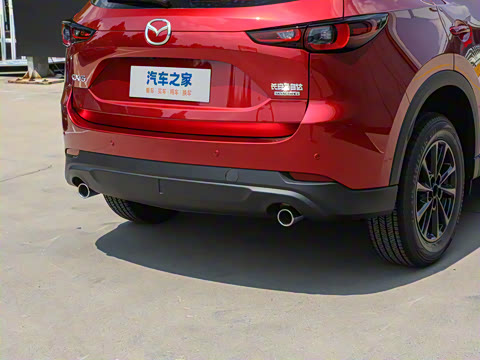 2025�� 2.0L �Զ���������Pro