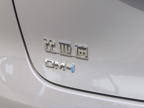 2026�� DM-i 305�Ǻ���