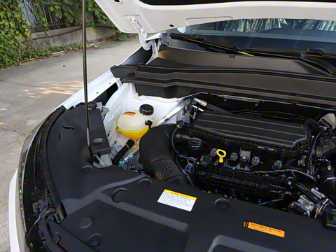 2025�� ���ն��� 1.5T �����