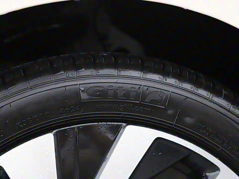 2025�� �Ŀ� 300TSI Pro