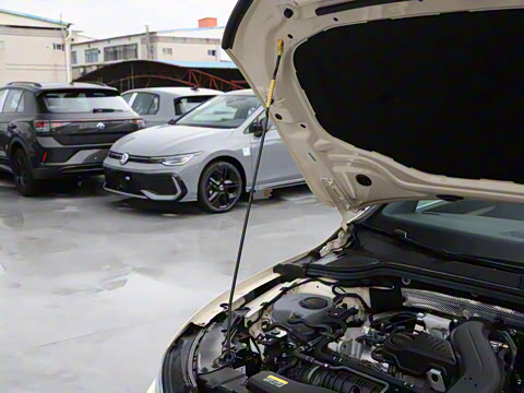 2025�� �Ŀ� 300TSI Pro