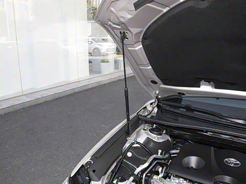 2026�� 2.0G ����