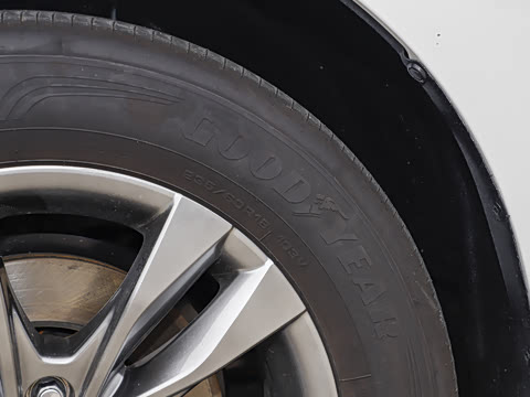 2026�� 2.5L ����׿��318��