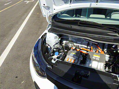 2026�� PLUS ������