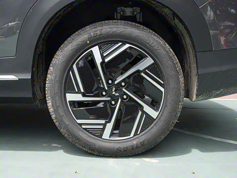 2025�� 130km �캽��