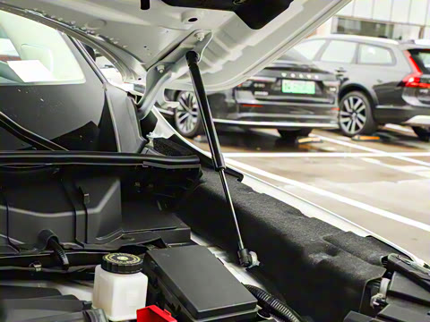 2024�� 2.0T ����������