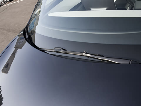 2025�� �Ŀ� ����������������