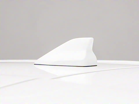 2025�� 290T ��������+