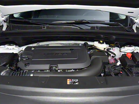 2026�� ������Plus 28T �����׽��