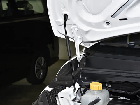 2025�� 2.0L CNG��Ӣ�� 9��