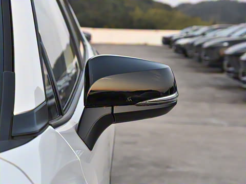 2026�� 2.0L ���ܵ��˫�� ����PLUS��