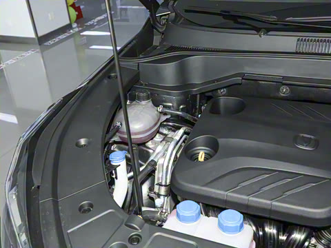 2025�� �ǻ������� 125km ������