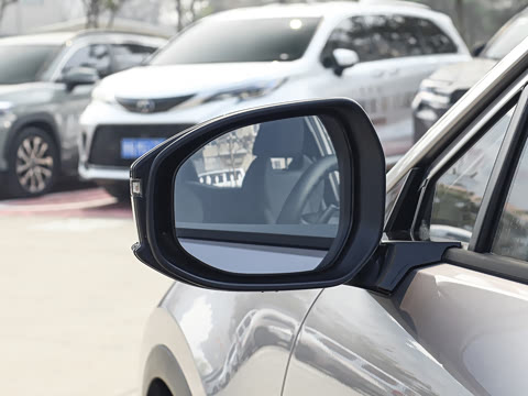 2026�� ������ JOY