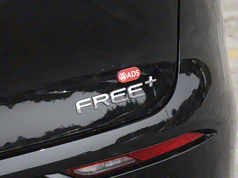 2025�� FREE+ ����Ǭ����