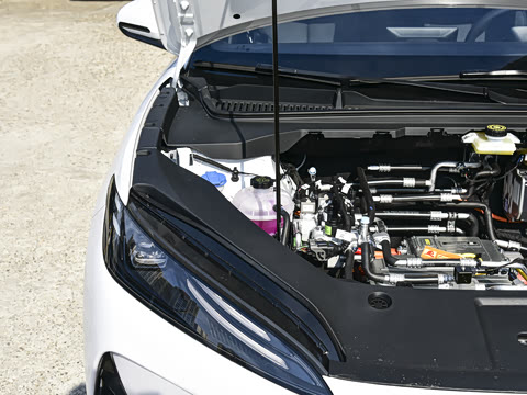 2026�� �����