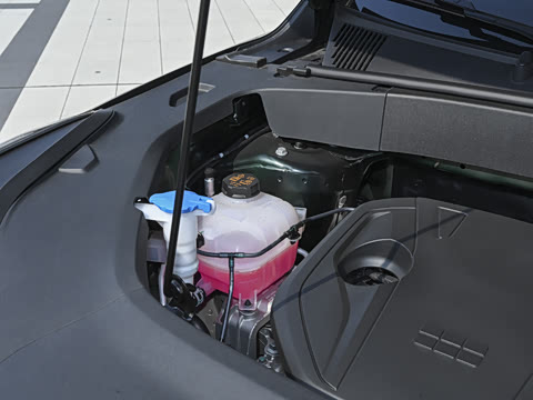 2026�� �����