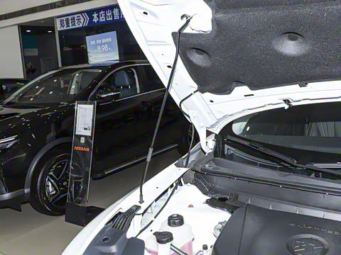 2026�� 260T ���ǰ� Pro