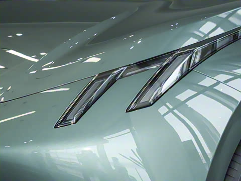 2025�� 530km ����Pro