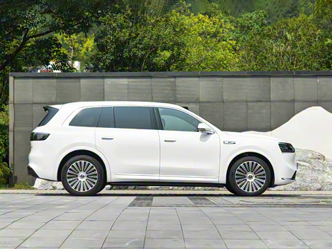 2025�� ���� Max+ ������������ 